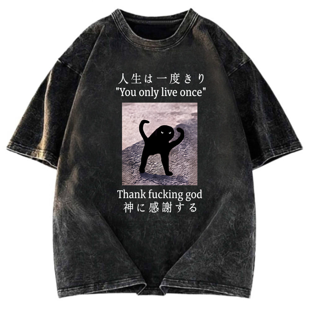Tokyosol Funny Mysterious Cat Washed T-Shirt