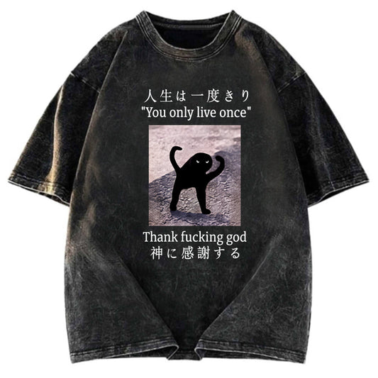 Tokyosol Funny Mysterious Cat Washed T-Shirt