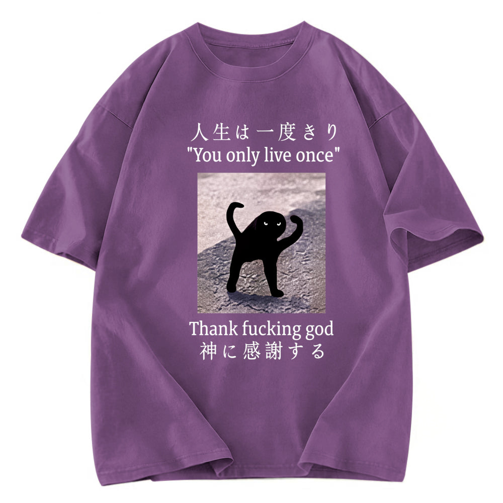 Tokyosol Funny Mysterious Cat Washed T-Shirt