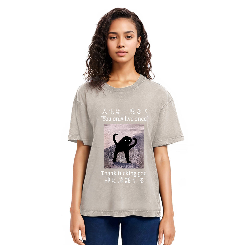 Tokyosol Funny Mysterious Cat Washed T-Shirt