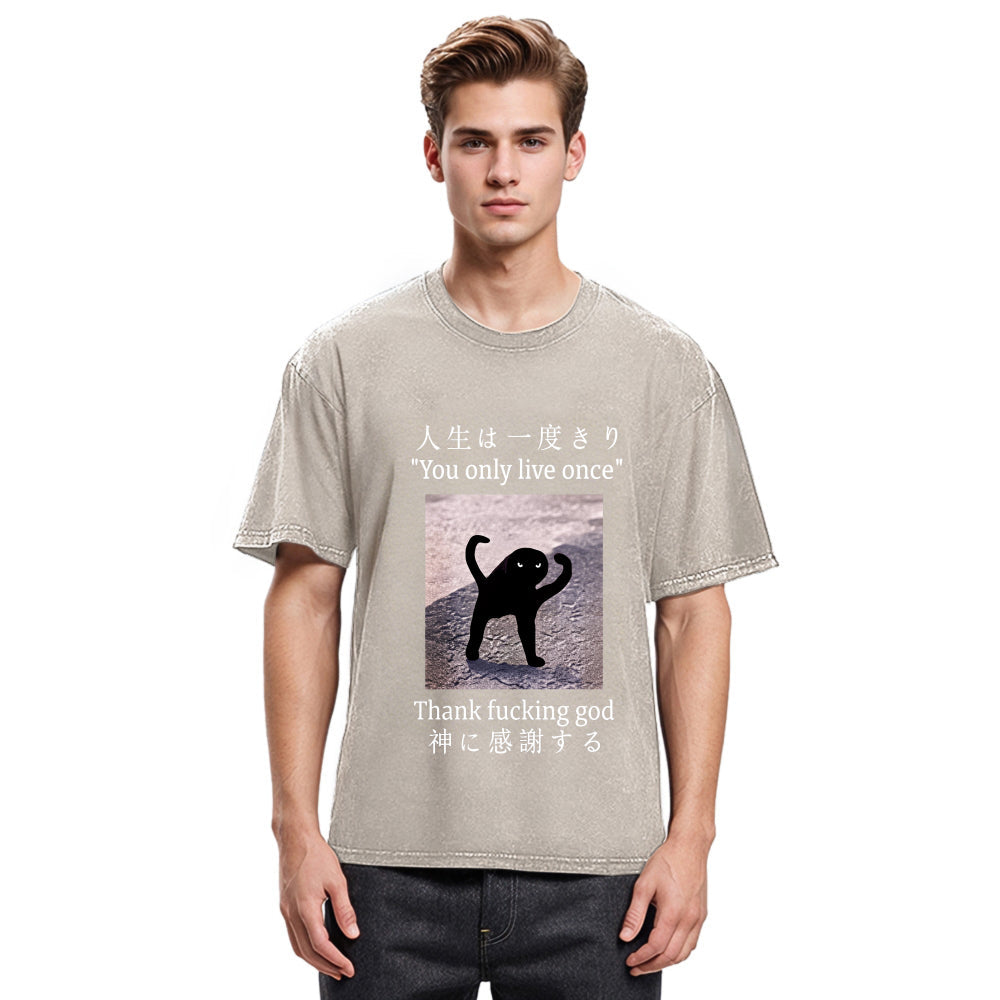 Tokyosol Funny Mysterious Cat Washed T-Shirt