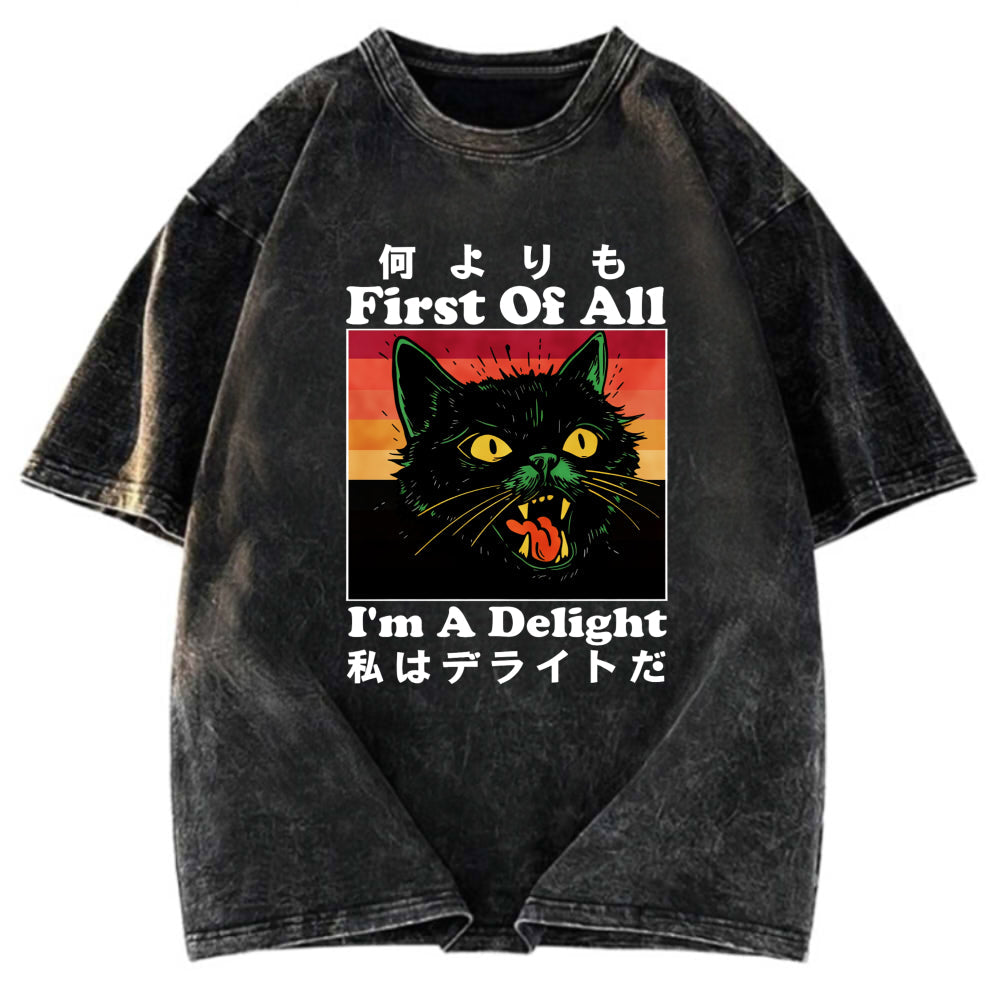 Tokyosol I'm A Delight Washed T-Shirt