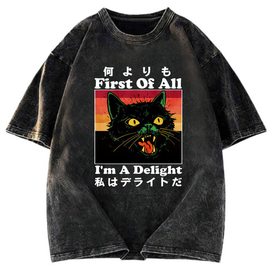 Tokyosol I'm A Delight Washed T-Shirt