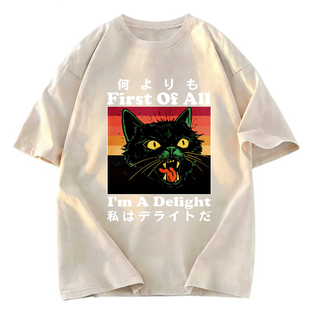 Tokyosol I'm A Delight Washed T-Shirt
