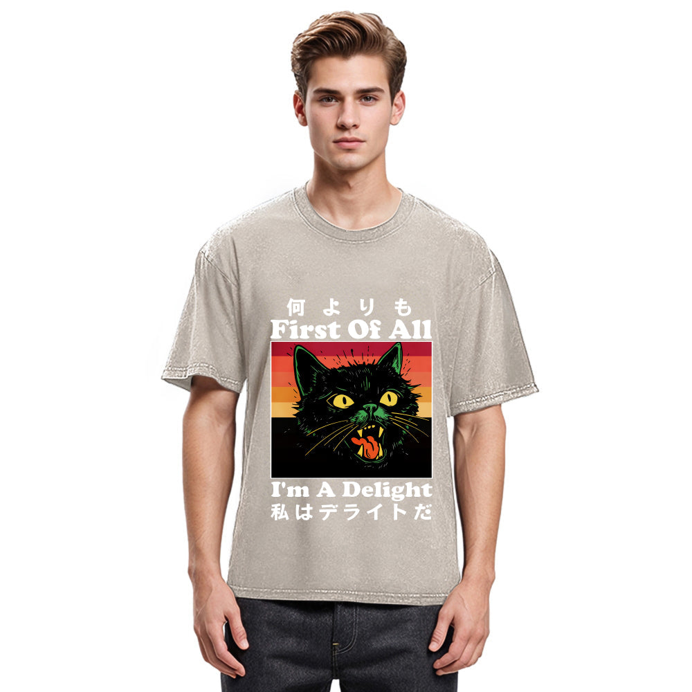 Tokyosol I'm A Delight Washed T-Shirt