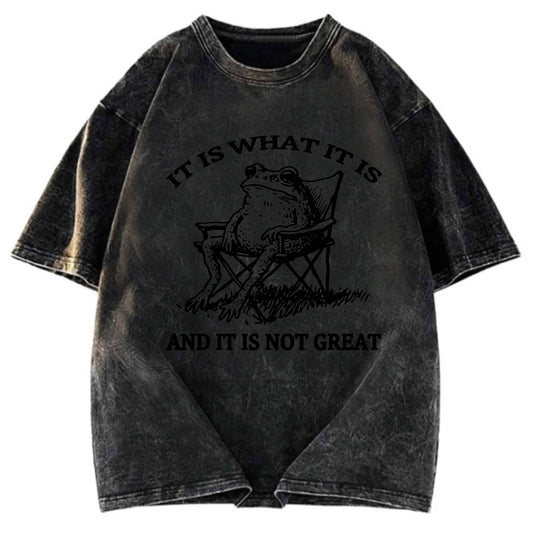 Tokyosol Resting Frog Funny Washed T-Shirt