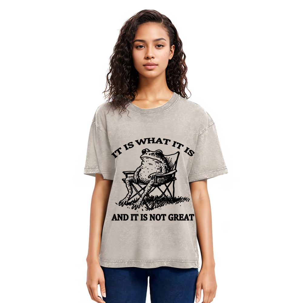 Tokyosol Resting Frog Funny Washed T-Shirt