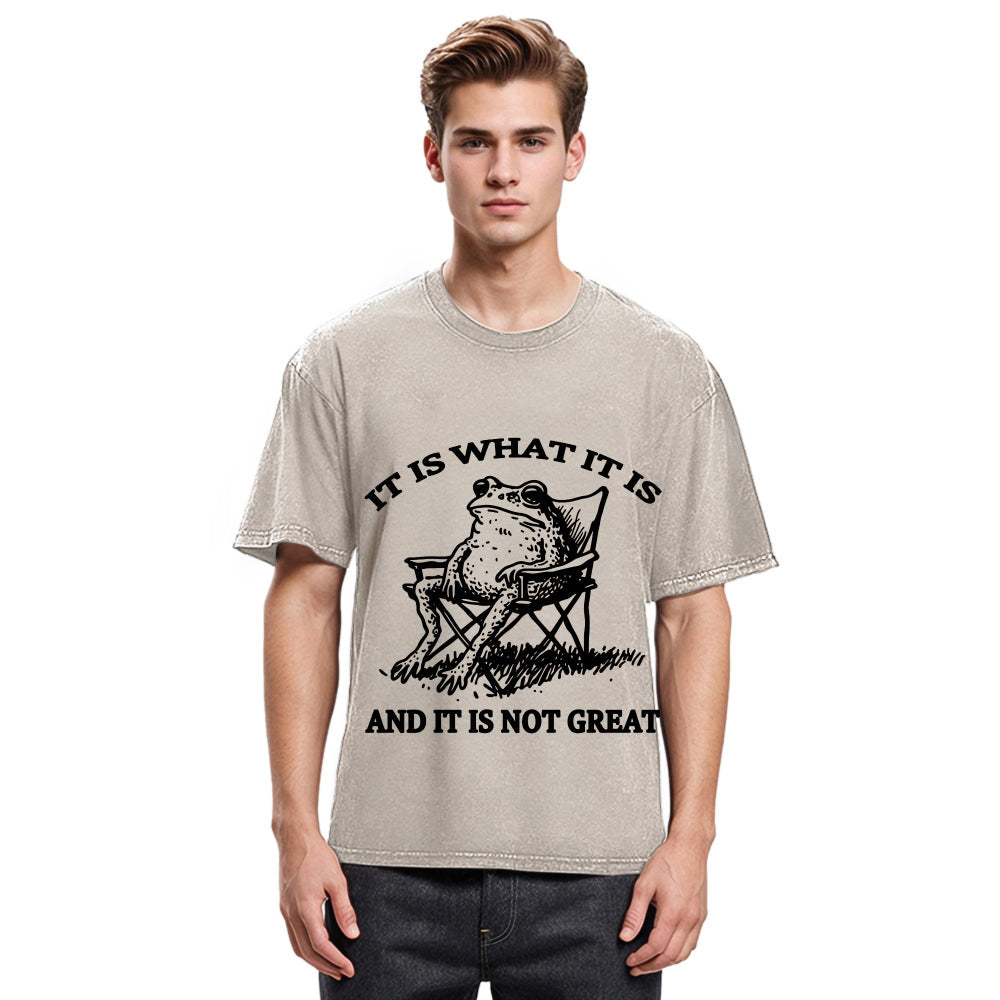 Tokyosol Resting Frog Funny Washed T-Shirt