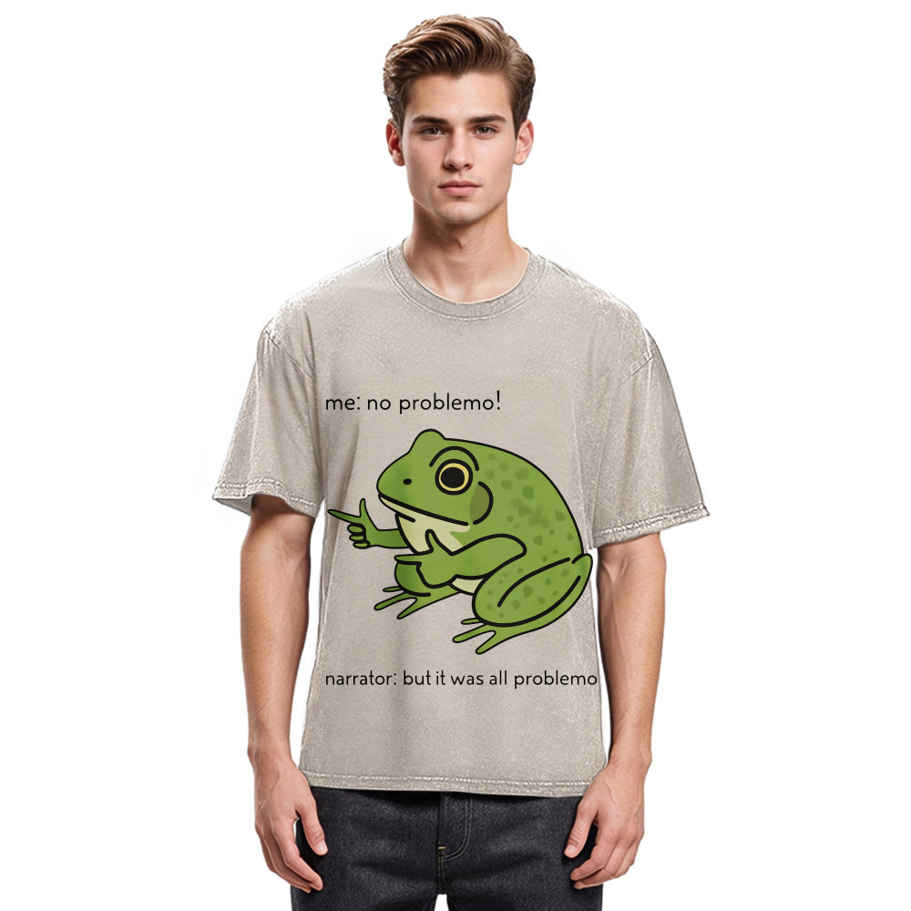 Tokyosol Stupid Frog Meme Washed T-Shirt