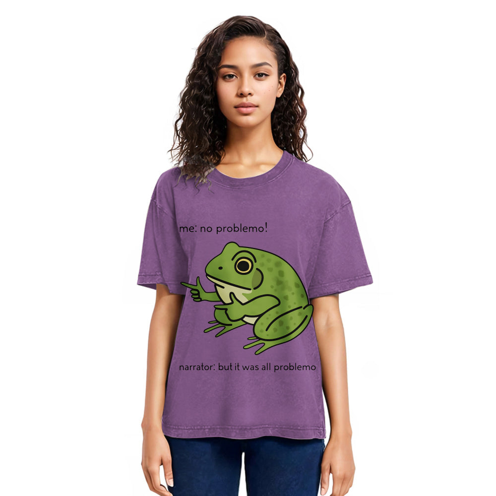 Tokyosol Stupid Frog Meme Washed T-Shirt