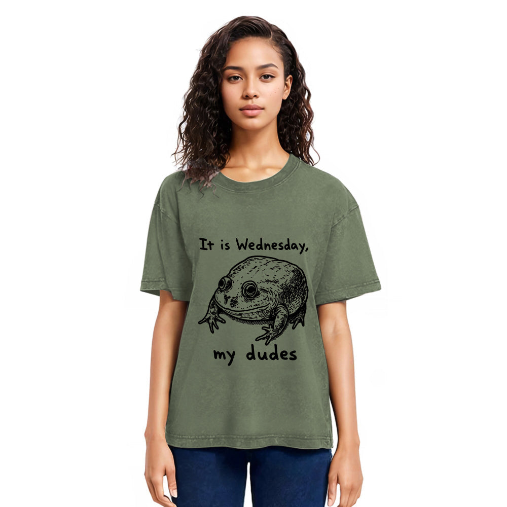 Tokyosol Wednesday Frog Vintage Washed T-Shirt