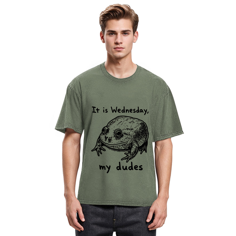 Tokyosol Wednesday Frog Vintage Washed T-Shirt