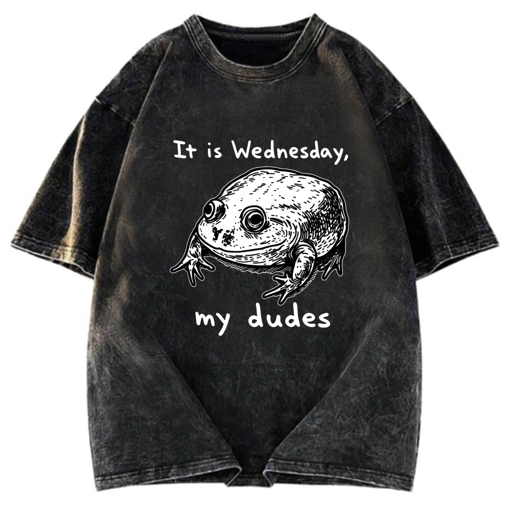 Tokyosol Wednesday Frog Vintage Washed T-Shirt