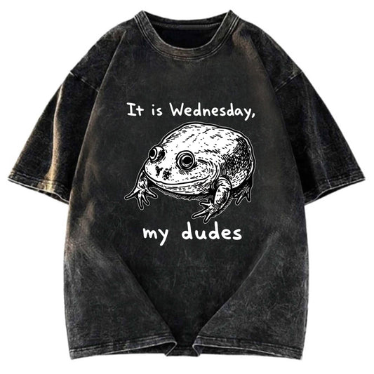 Tokyosol Wednesday Frog Vintage Washed T-Shirt