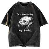 Tokyosol Wednesday Frog Vintage Washed T-Shirt