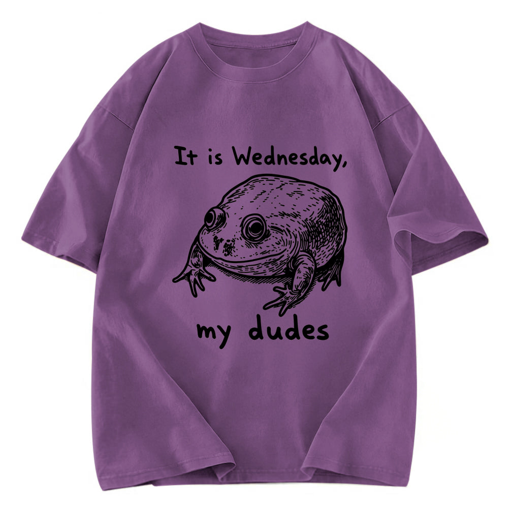 Tokyosol Wednesday Frog Vintage Washed T-Shirt