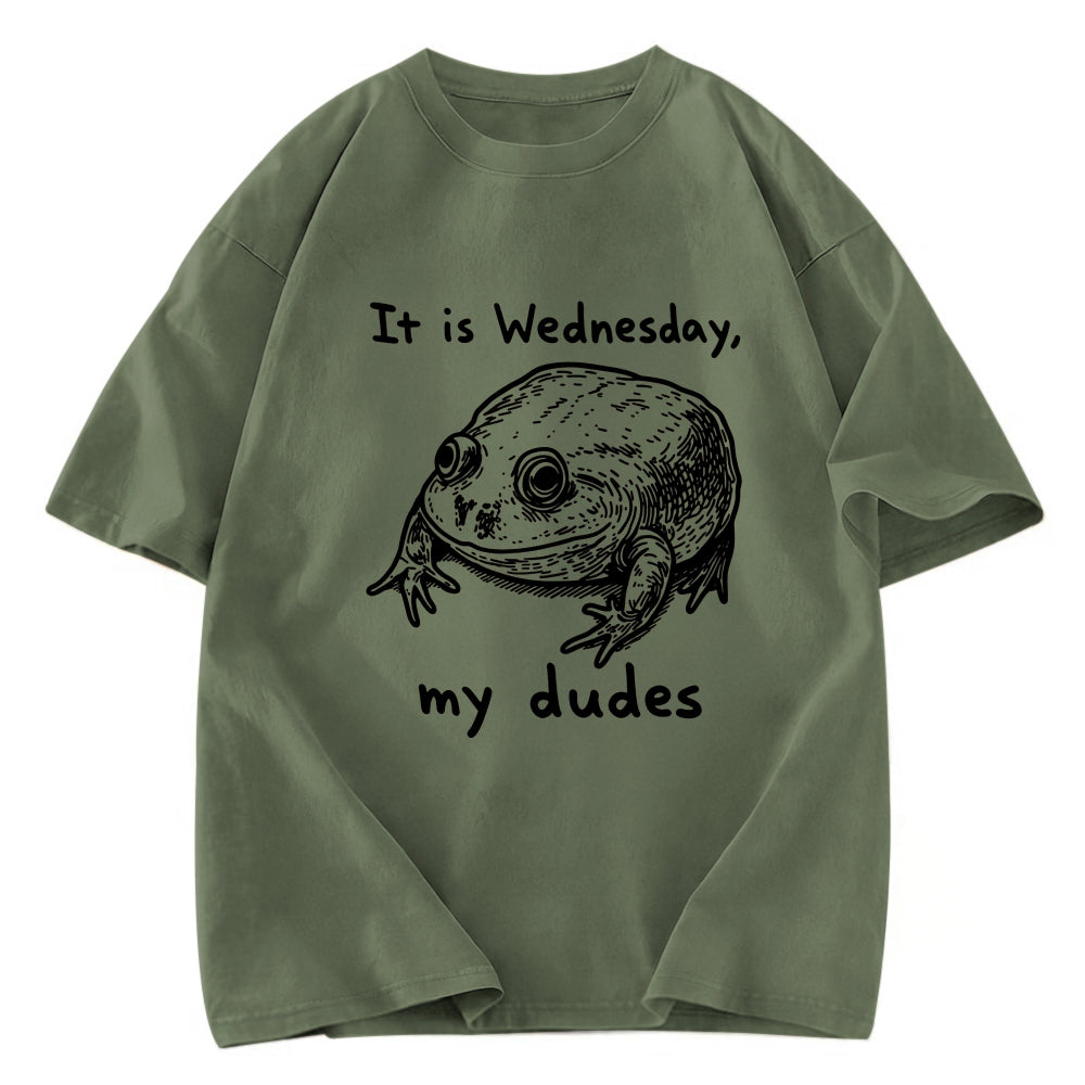 Tokyosol Wednesday Frog Vintage Washed T-Shirt