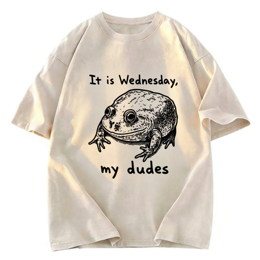 Tokyosol Wednesday Frog Vintage Washed T-Shirt