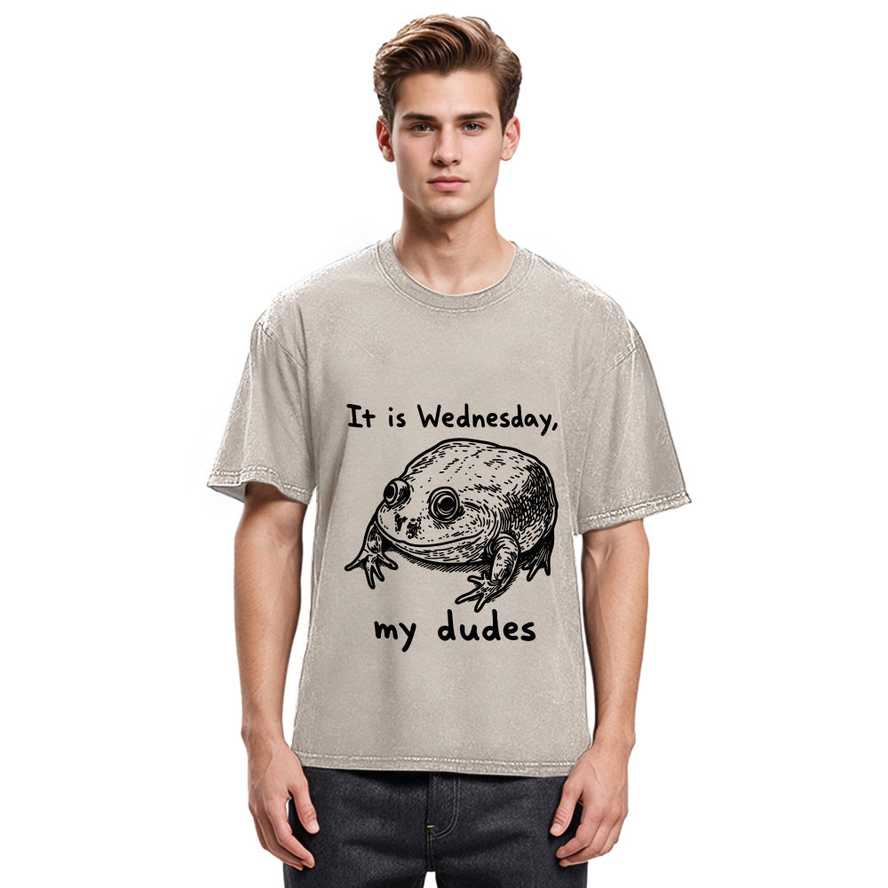 Tokyosol Wednesday Frog Vintage Washed T-Shirt