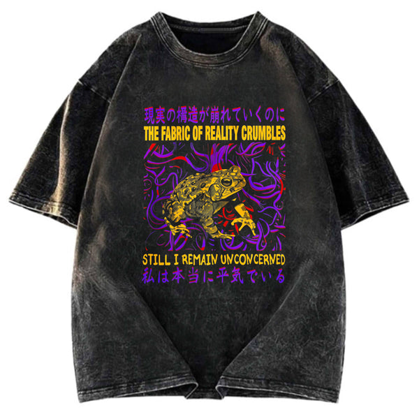 Tokyosol Fabric of Reality Crumbles Still I Remain Unconcerned Washed T-Shirt