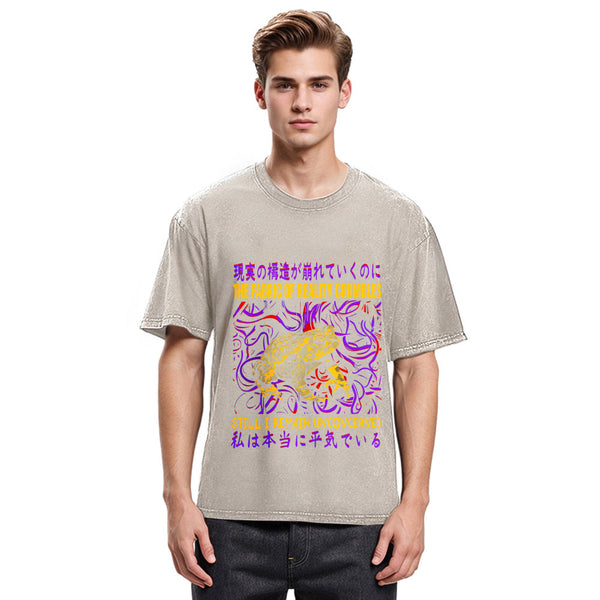Tokyosol Fabric of Reality Crumbles Still I Remain Unconcerned Washed T-Shirt