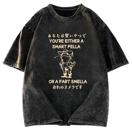 Tokyosol Are You A Smart Fella Or Fart Smella Washed T-Shirt
