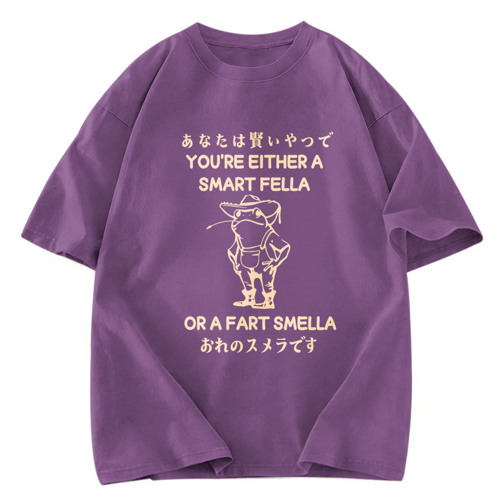 Tokyosol Are You A Smart Fella Or Fart Smella Washed T-Shirt