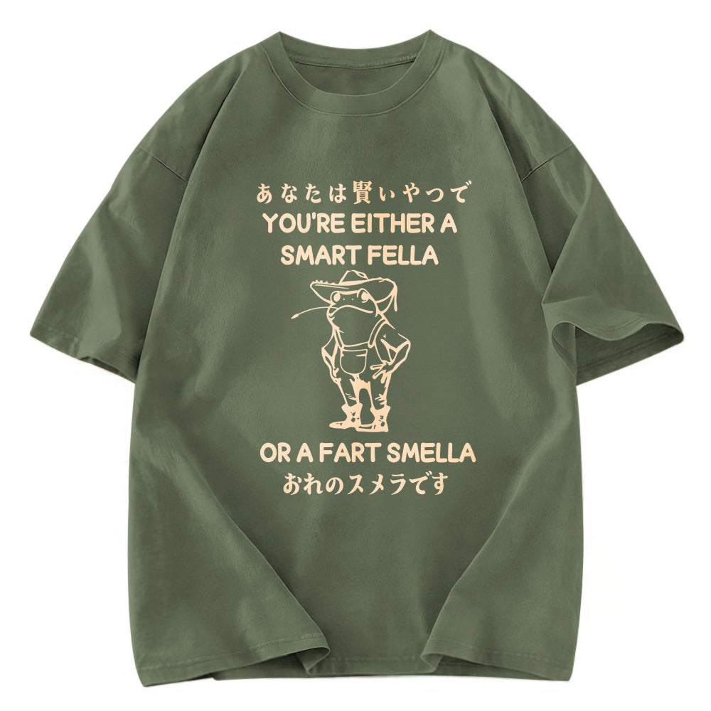 Tokyosol Are You A Smart Fella Or Fart Smella Washed T-Shirt