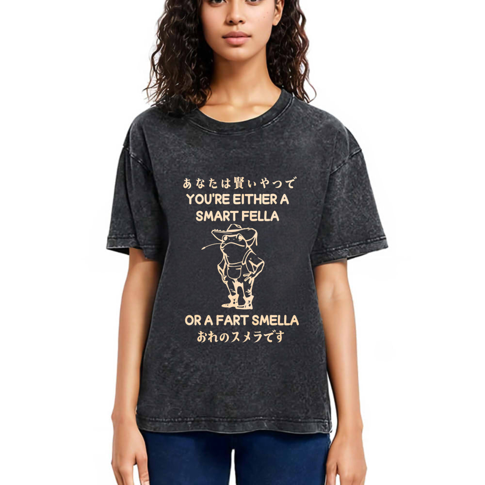Tokyosol Are You A Smart Fella Or Fart Smella Washed T-Shirt