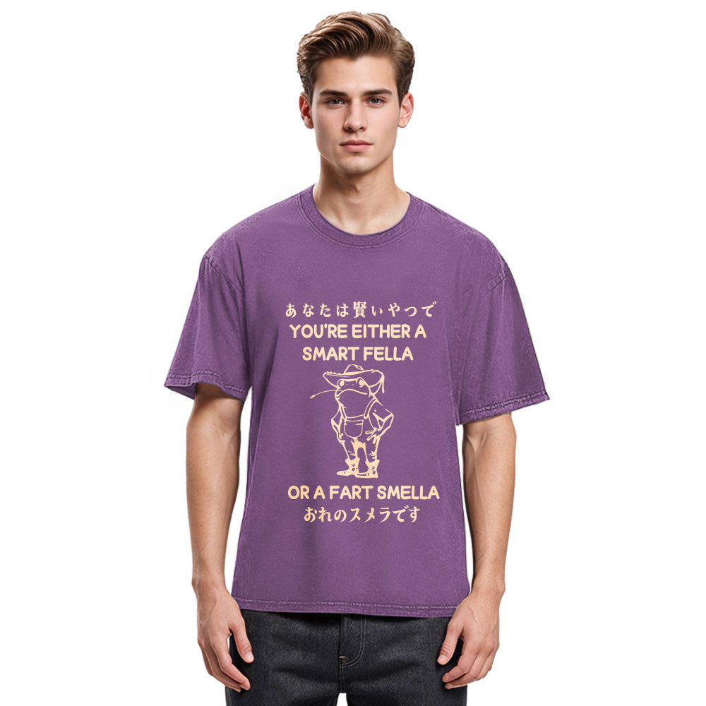 Tokyosol Are You A Smart Fella Or Fart Smella Washed T-Shirt