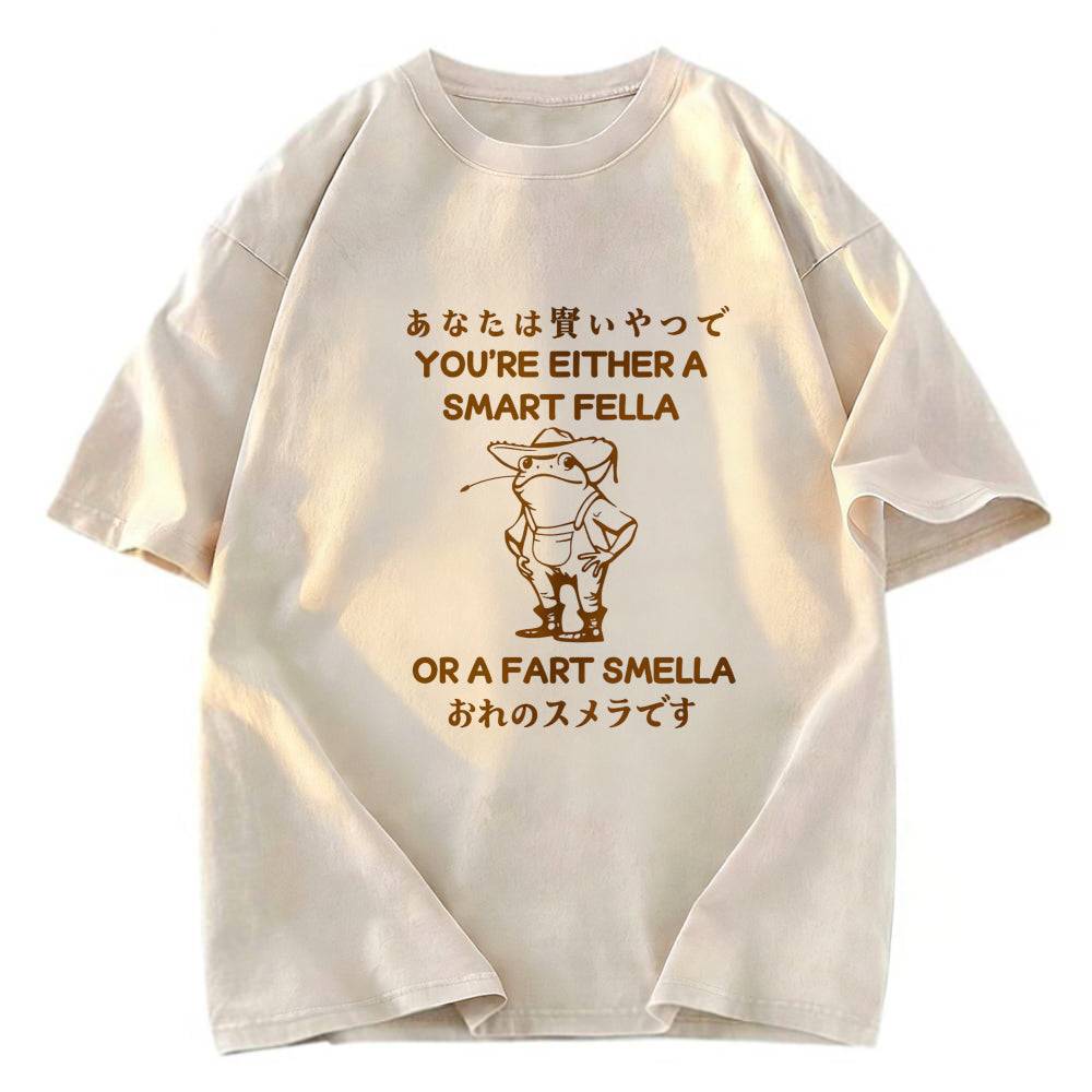 Tokyosol Are You A Smart Fella Or Fart Smella Washed T-Shirt