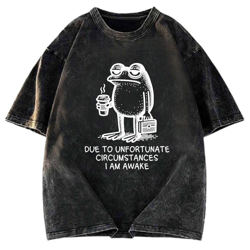Tokyosol Decadent Frog Washed T-Shirt