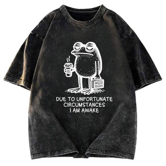 Tokyosol Decadent Frog Washed T-Shirt