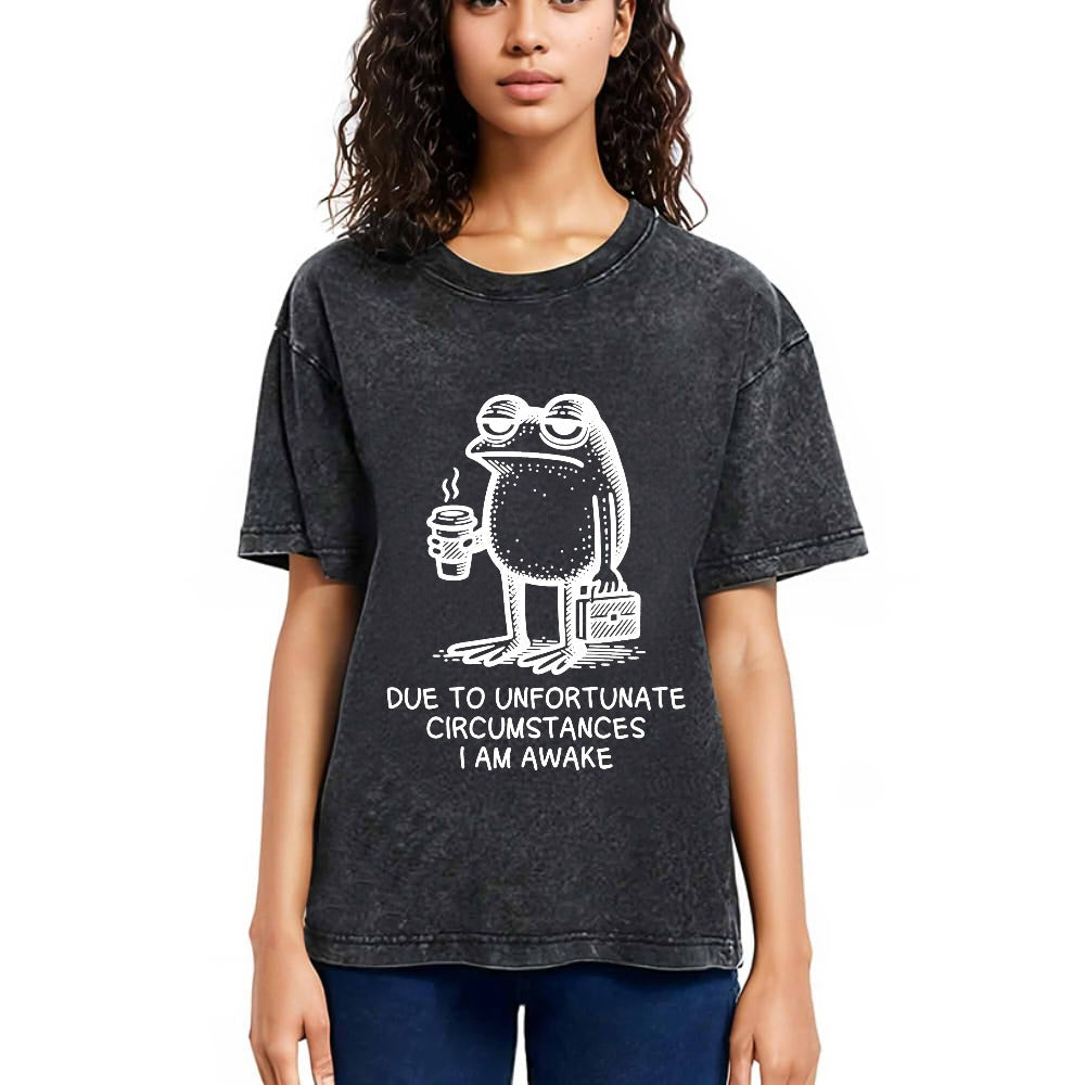 Tokyosol Decadent Frog Washed T-Shirt