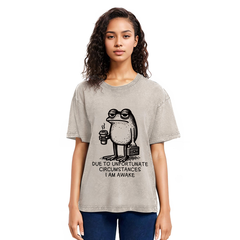 Tokyosol Decadent Frog Washed T-Shirt