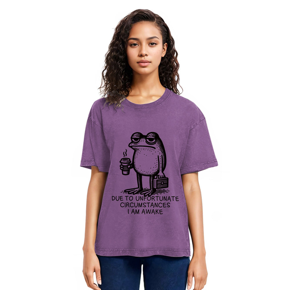 Tokyosol Decadent Frog Washed T-Shirt