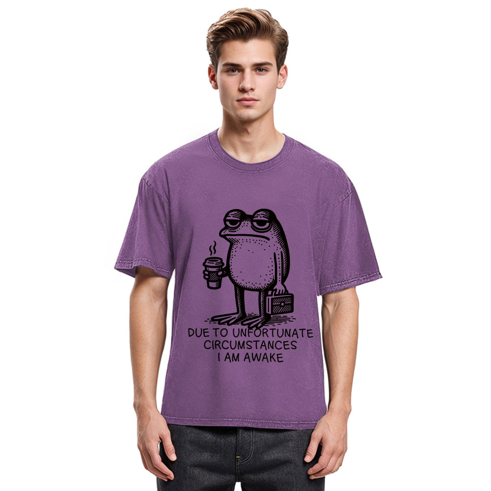 Tokyosol Decadent Frog Washed T-Shirt