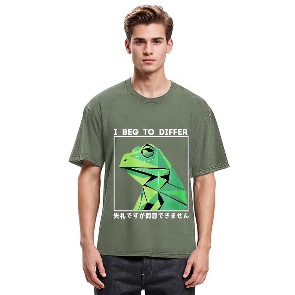 Tokyosol Funny Frog Meme Japanese Washed T-Shirt