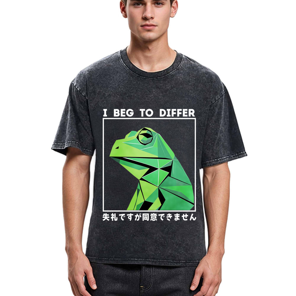 Tokyosol Funny Frog Meme Japanese Washed T-Shirt