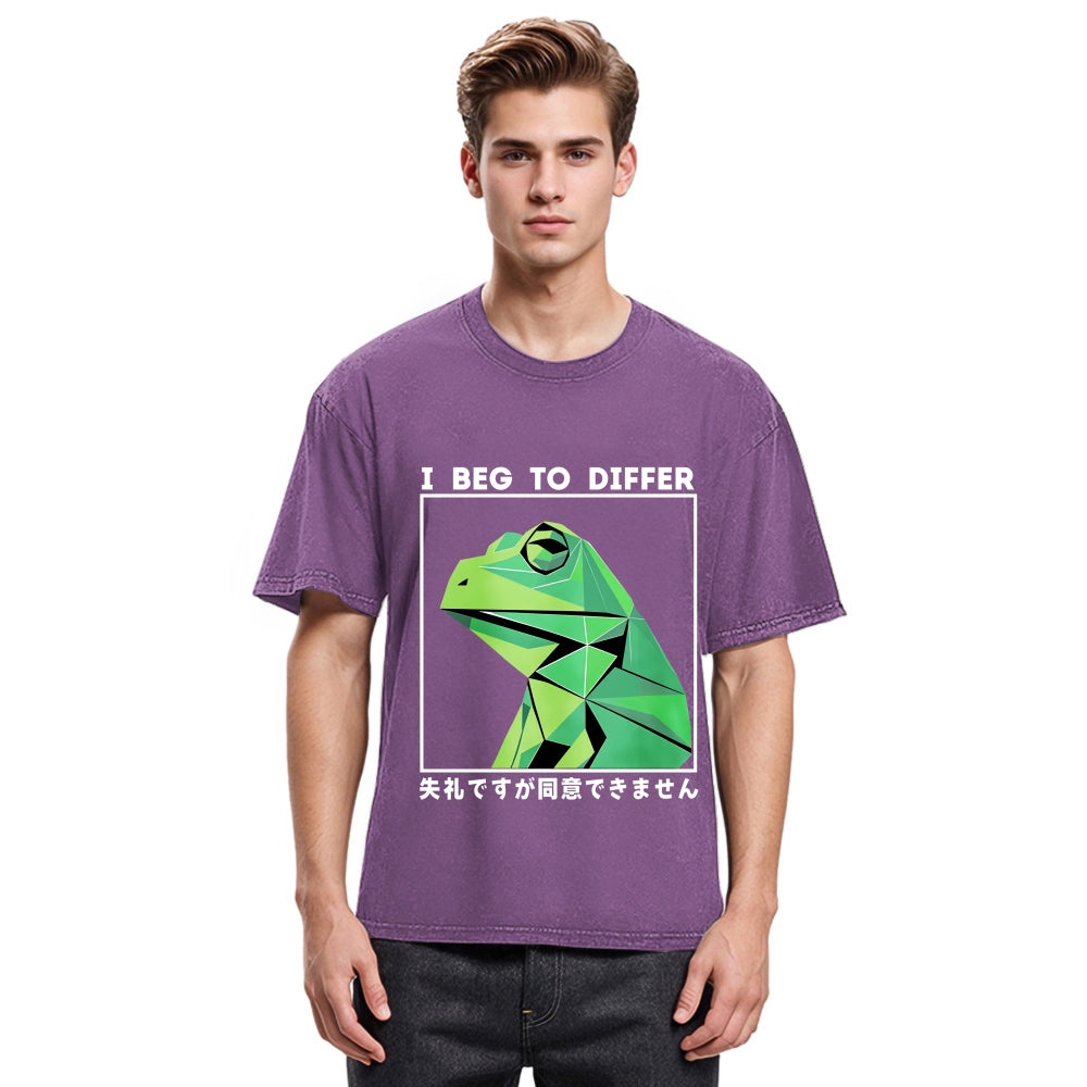 Tokyosol Funny Frog Meme Japanese Washed T-Shirt