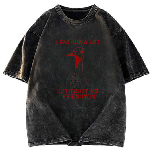Tokyosol Silly Goose Understands Everything Washed T-Shirt