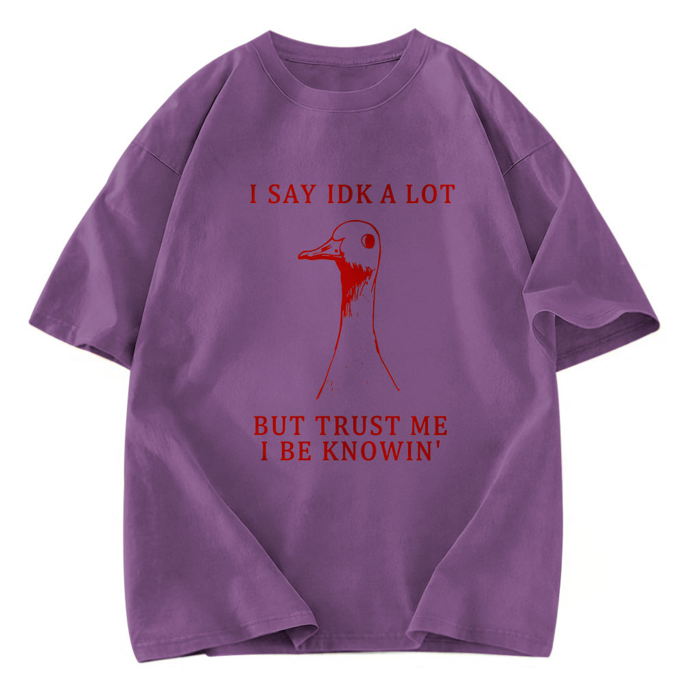 Tokyosol Silly Goose Understands Everything Washed T-Shirt