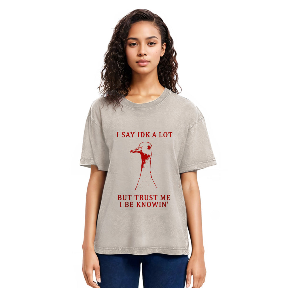 Tokyosol Silly Goose Understands Everything Washed T-Shirt