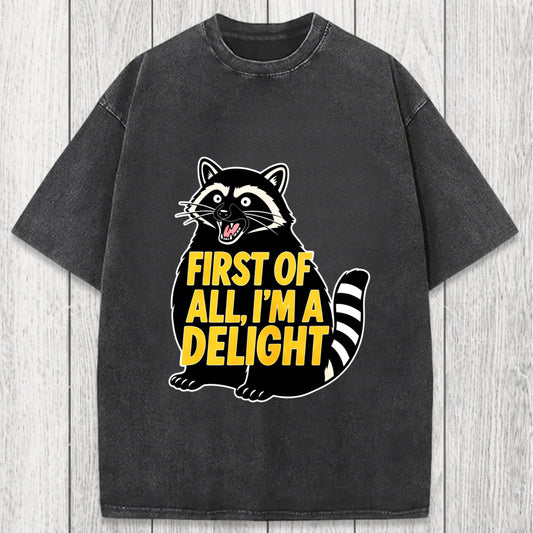 Tokyosol First of All I'm a Delight Raccoon Washed T-Shirt