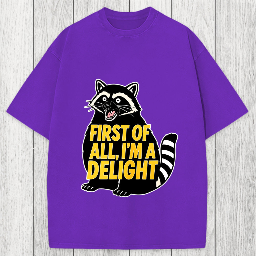 Tokyosol First of All I'm a Delight Raccoon Washed T-Shirt