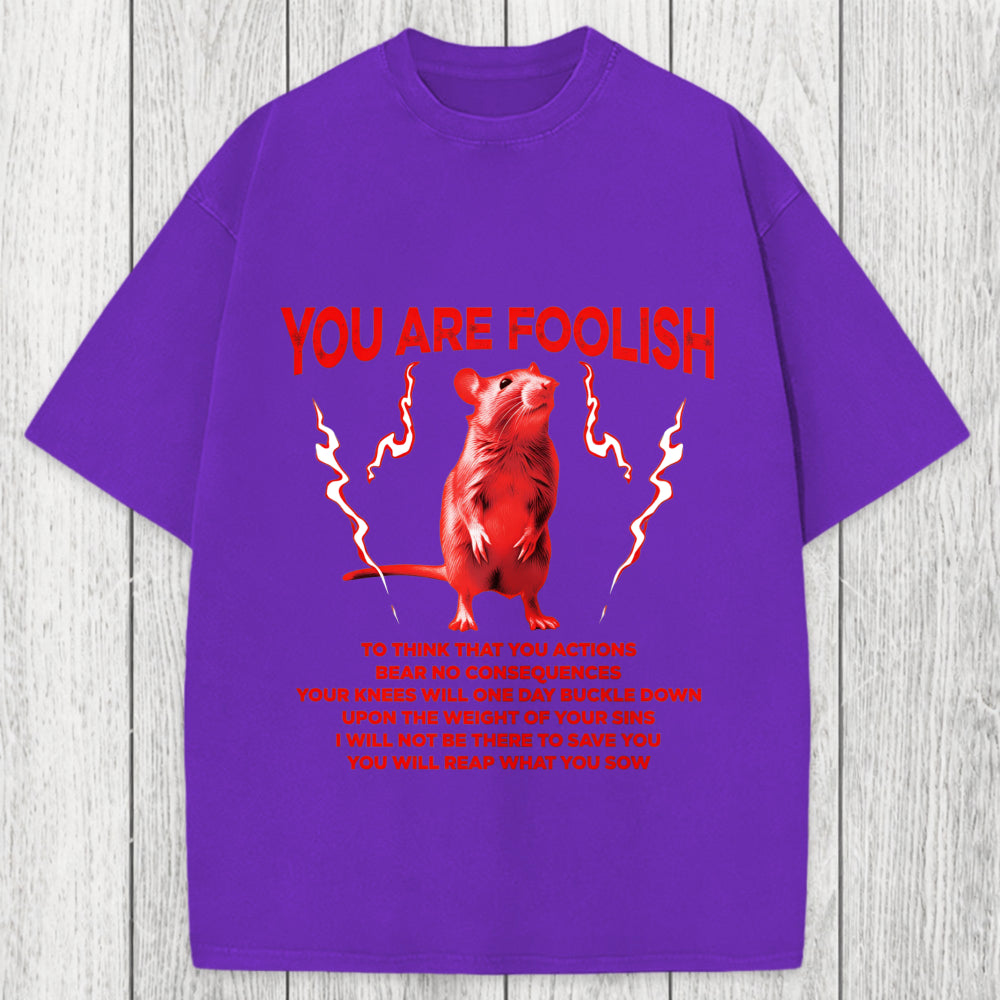 Tokyosol You Are Foolish Rat Washed T-Shirt