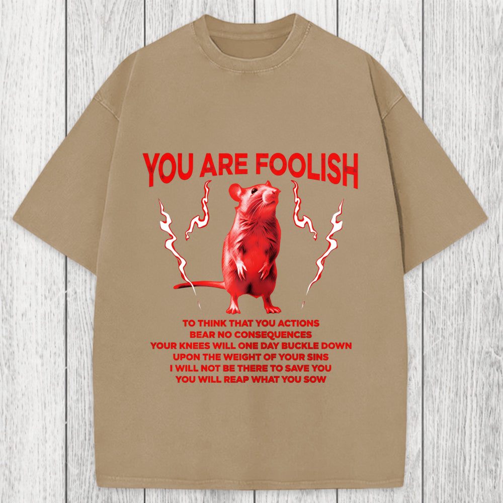 Tokyosol You Are Foolish Rat Washed T-Shirt