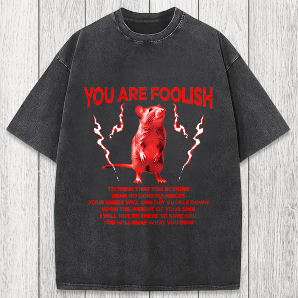 Tokyosol You Are Foolish Rat Washed T-Shirt
