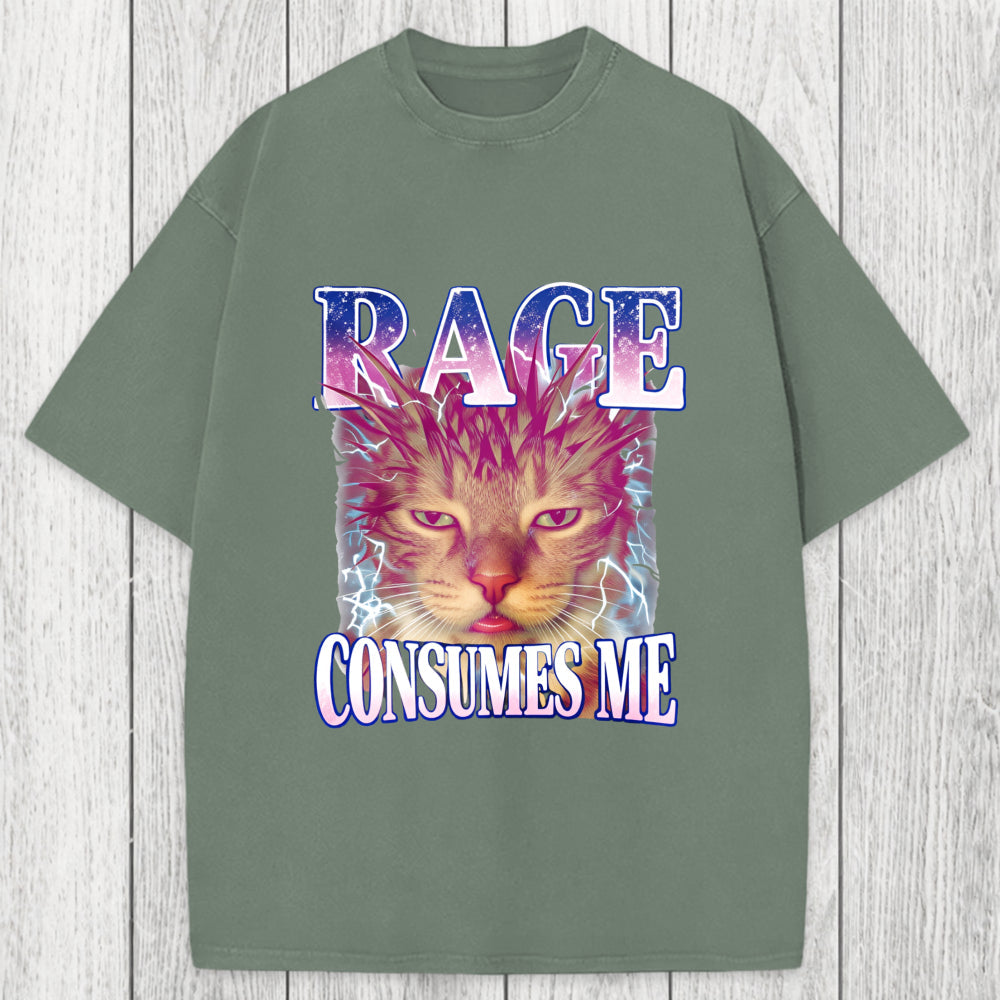 Tokyosol Rage Consumes Me Cat Funny Pet Meme Washed T-Shirt