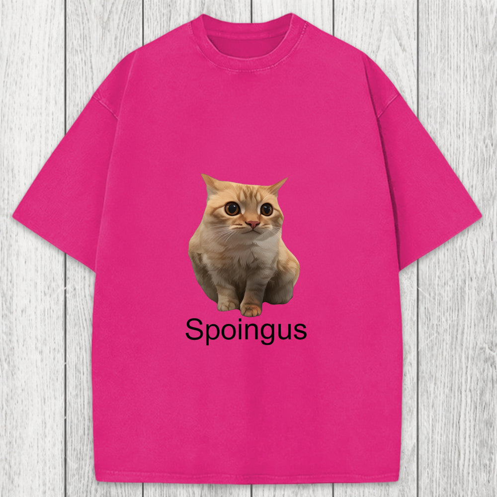Tokyosol Spoingus The Cat Meme Washed T-Shirt